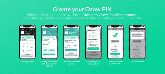 Ozow pin