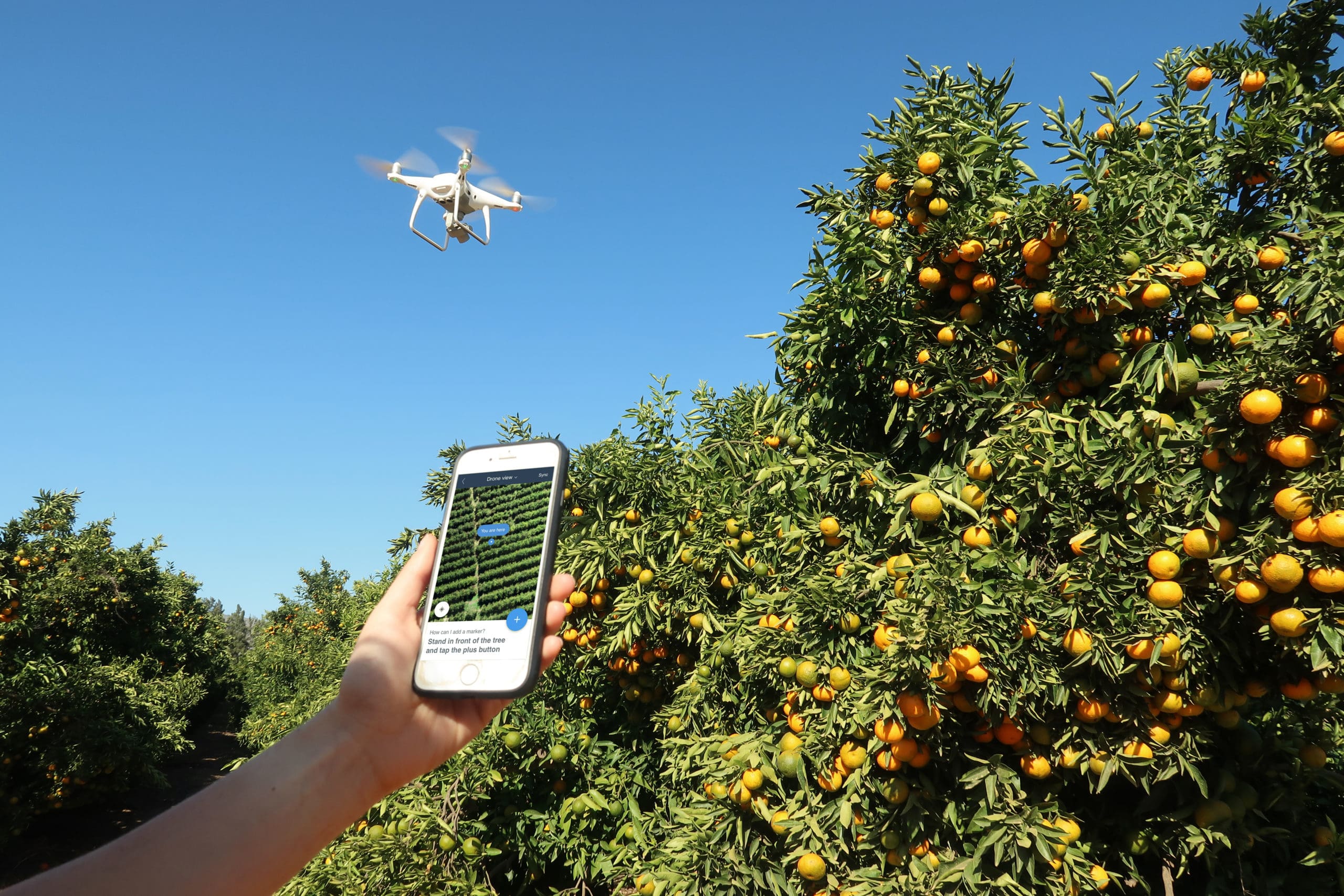 AgriTech Business Aerobotics Releases New Platform For Growers |  TechFinancials