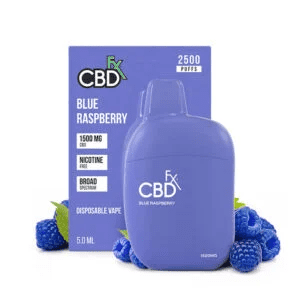 thc-free cbd vape disposable Buying Online Vs. Vape Shop: Which One is Better? main image 1