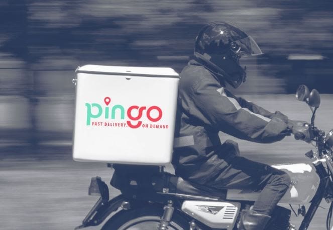 Pingo