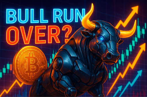bull run over