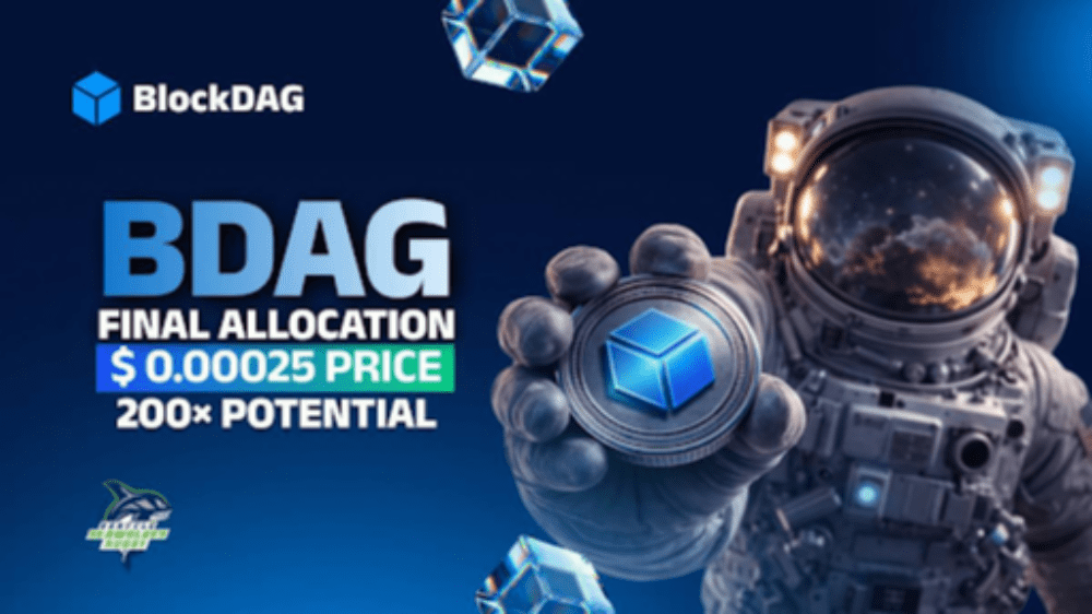 BDag Final Allocation
